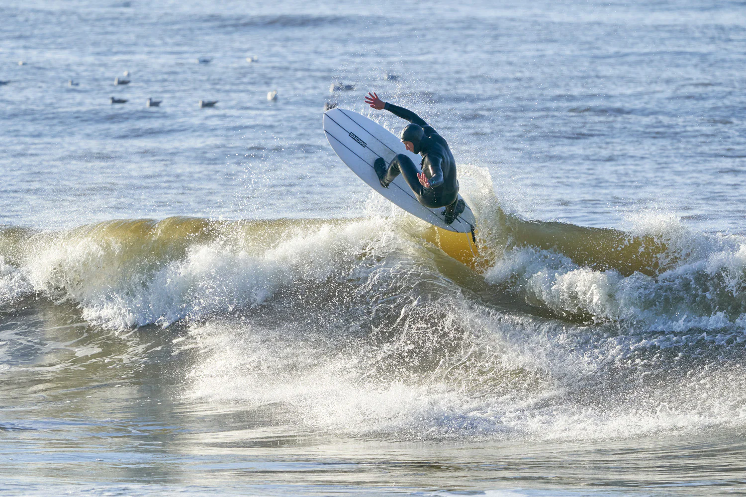 GONG | Surf Carter Origin 2.0 - Image 4