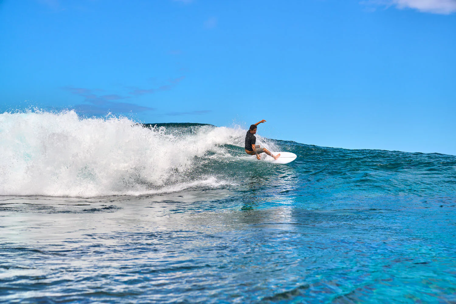 GONG | Surf J.Low EPS - Image 15