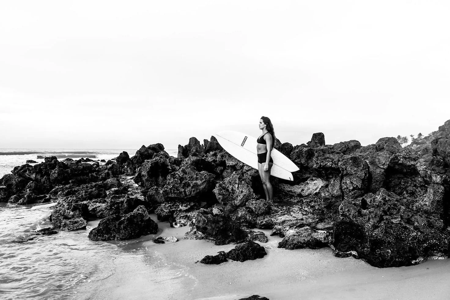 GONG | Surf Pie Pure Origin - Image 21