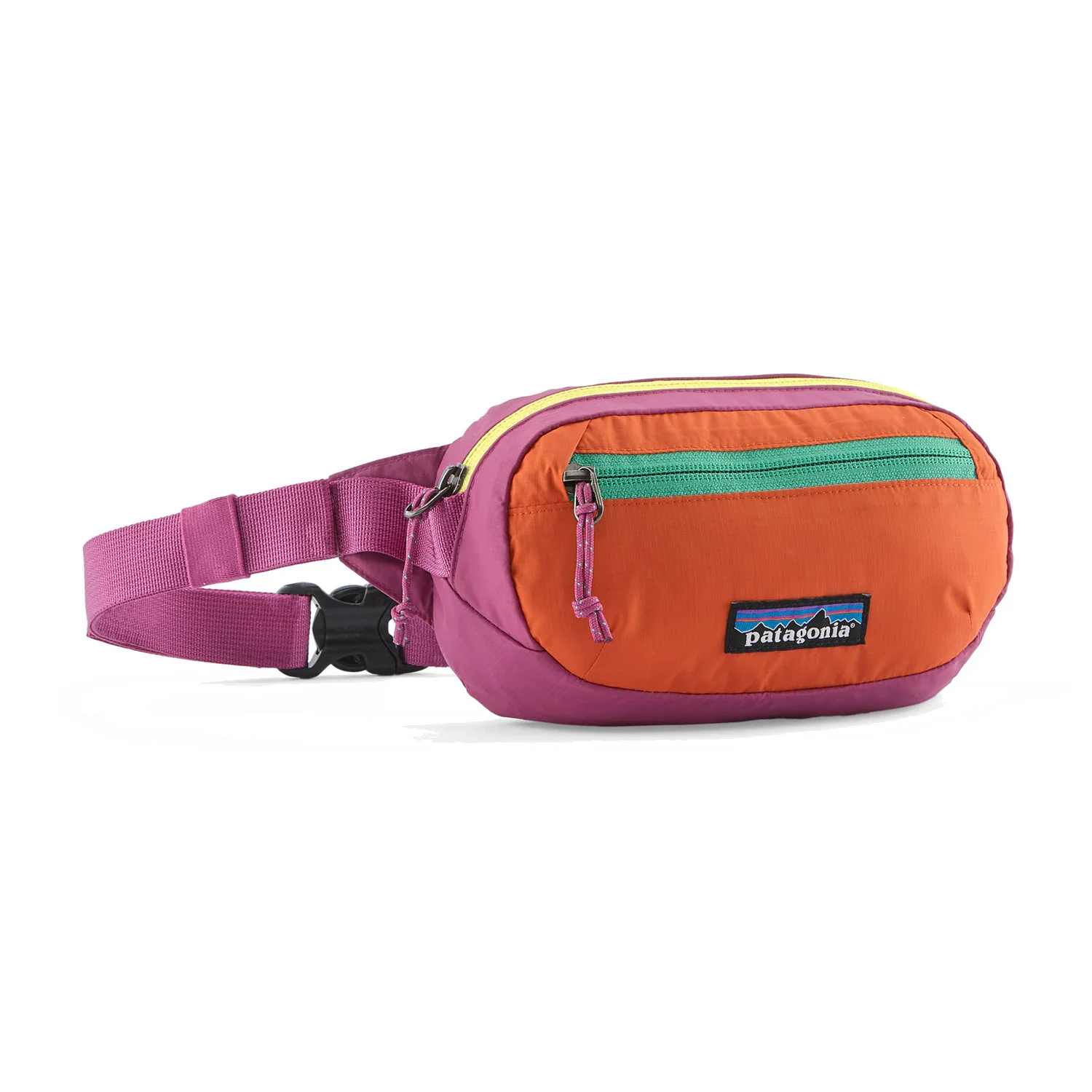 Patagonia | Sac Banane Terravia Mini 1L - Image 9